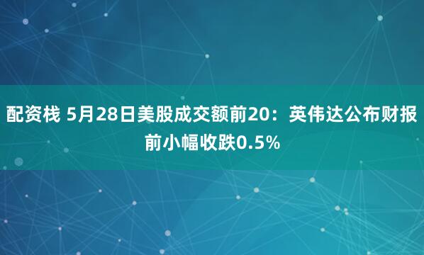 配资栈 5月28日美股成交额前20：英伟达公布财报前小幅收跌0.5%