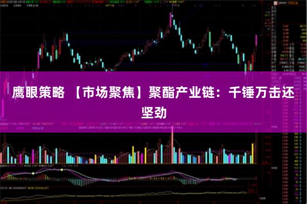 鹰眼策略 【市场聚焦】聚酯产业链：千锤万击还坚劲