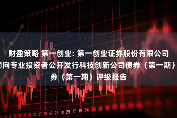 财盈策略 第一创业: 第一创业证券股份有限公司2025年面向专业投资者公开发行科技创新公司债券(第一期)评级报告