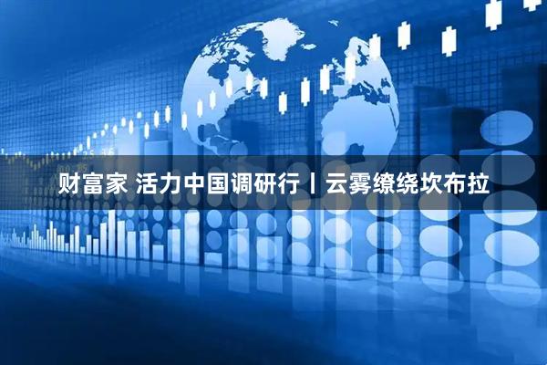 财富家 活力中国调研行丨云雾缭绕坎布拉