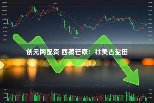 创元网配资 西藏芒康：壮美古盐田