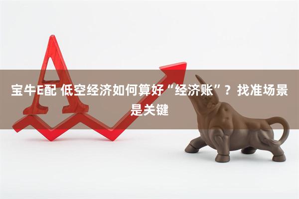 宝牛E配 低空经济如何算好“经济账”？找准场景是关键