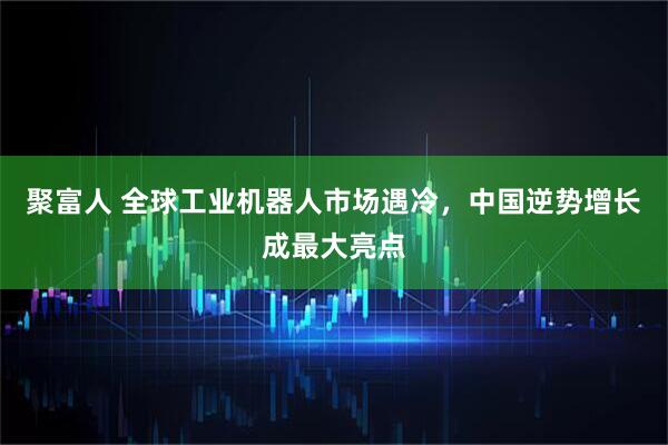 聚富人 全球工业机器人市场遇冷，中国逆势增长成最大亮点