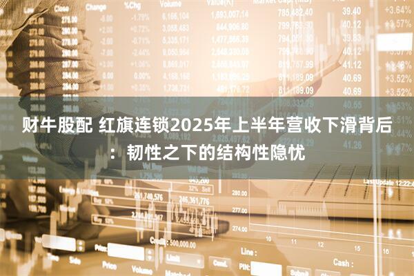 财牛股配 红旗连锁2025年上半年营收下滑背后：韧性之下的结构性隐忧