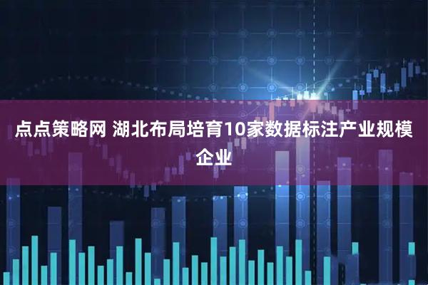点点策略网 湖北布局培育10家数据标注产业规模企业