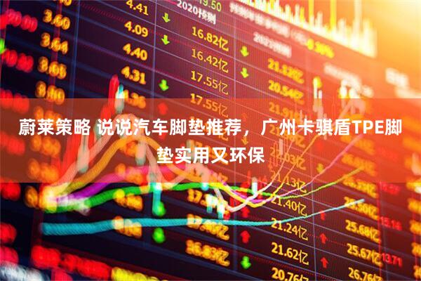 蔚莱策略 说说汽车脚垫推荐，广州卡骐盾TPE脚垫实用又环保